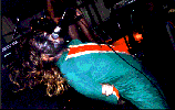 20000401-Ryan-tmb.gif